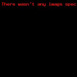 Campioni d'Italia Primavera 2014/2015-5